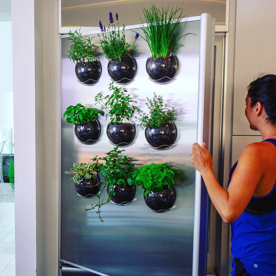 Grow kitchen herbs using Urbz planters which attach to windows, tile or any smooth surface. These ingenious window planters display houseplants, succulents and herbs as a movable vertical garden. Declutter the sill and grow on your windows instead.