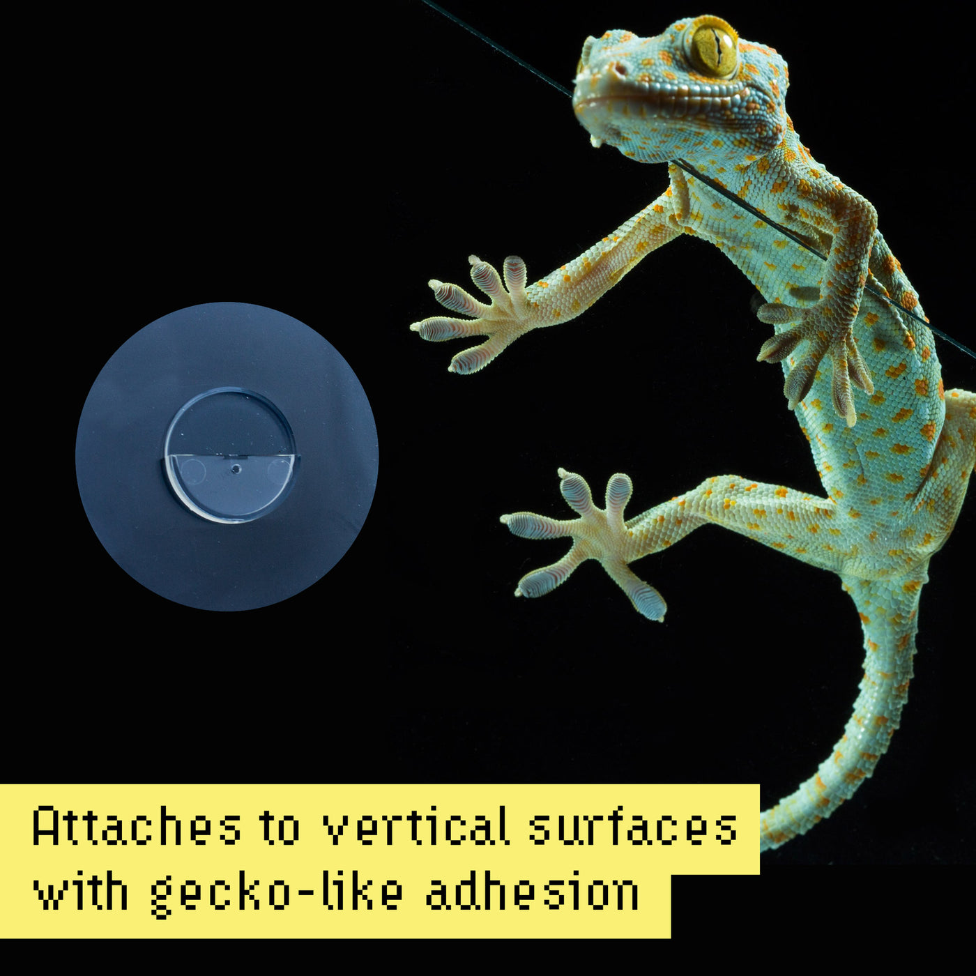 Urbz window attachments are not suction cups. They use a biomimicry design to hold firmly on smooth surfaces like gecko's when they walk up a wall.