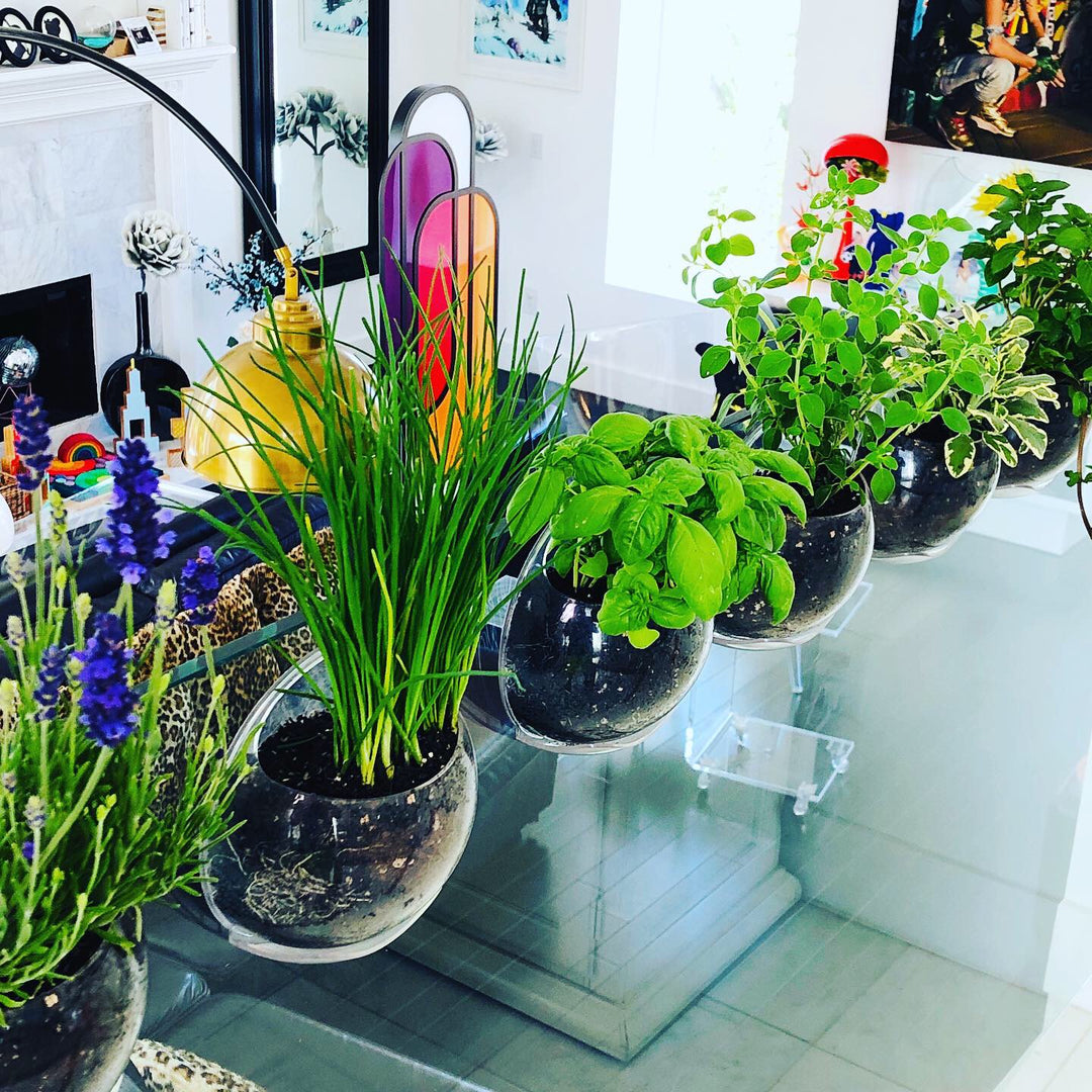 indoor window planter suction cup Urbz Planter | Hanging Planter | Herb Planter