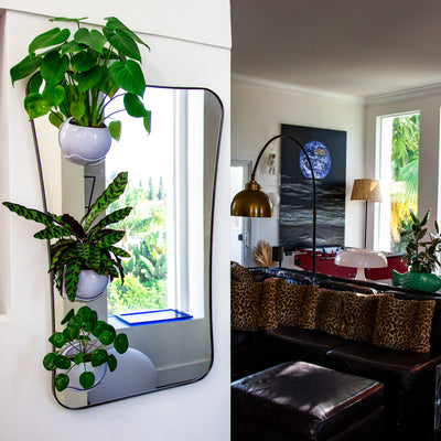 Urbz white window planters shown stacked on a mirror growing houseplants.